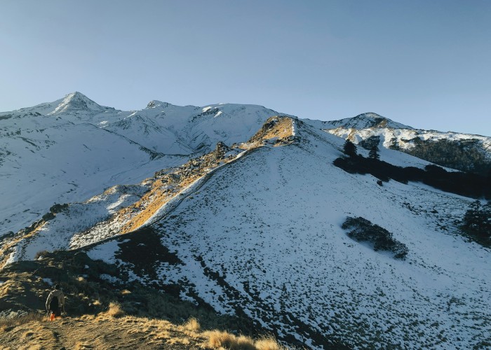 palak-pitroda-SUl4OIkqdJk-unsplash (1).jpg